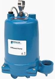 110 VOLT EFFLUENT/WATER PUMP RENTAL
